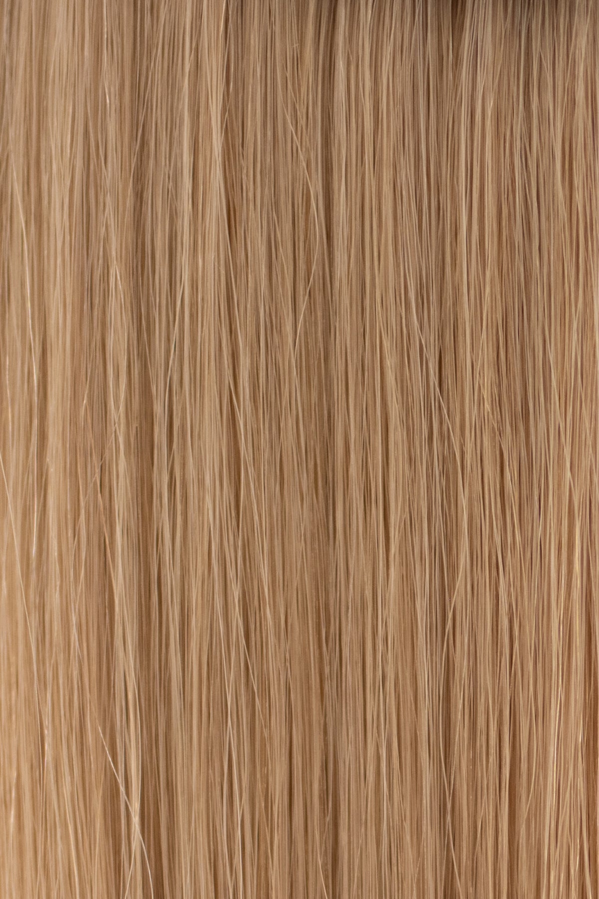 F09- Honey