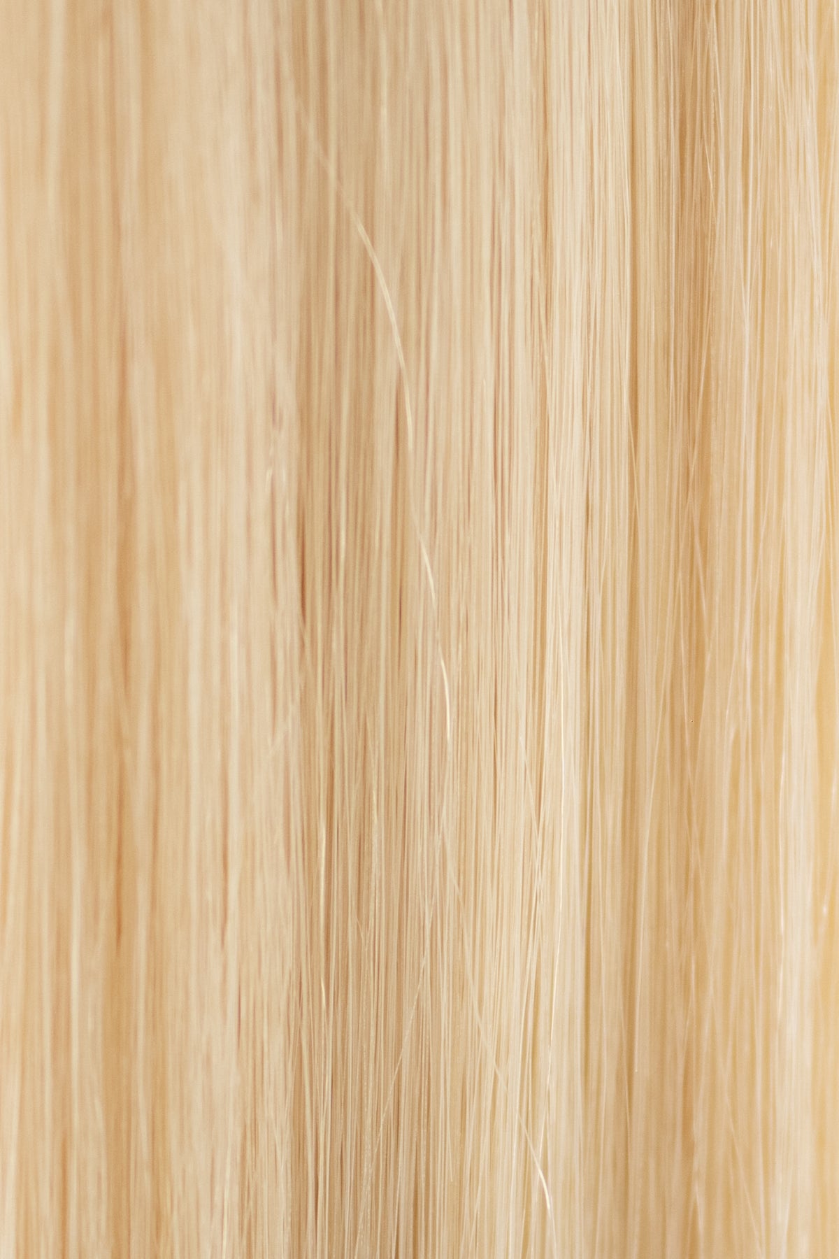 F17- Ivory